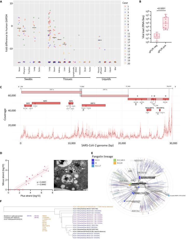 https://cdn.ncbi.nlm.nih.gov/pmc/blobs/5386/9436762/a031739e889e/gr1.jpg
