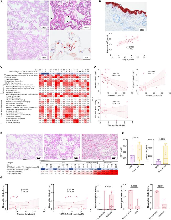 https://cdn.ncbi.nlm.nih.gov/pmc/blobs/5386/9436762/bd136fd44f10/gr2.jpg