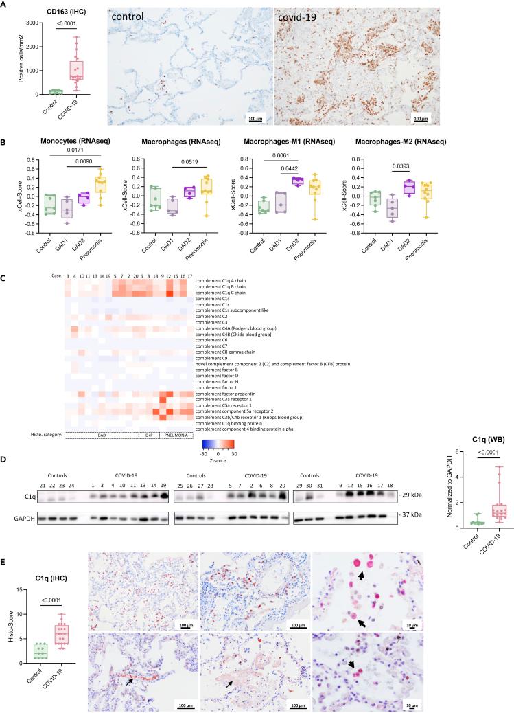 https://cdn.ncbi.nlm.nih.gov/pmc/blobs/5386/9436762/d452290d3e89/gr6.jpg