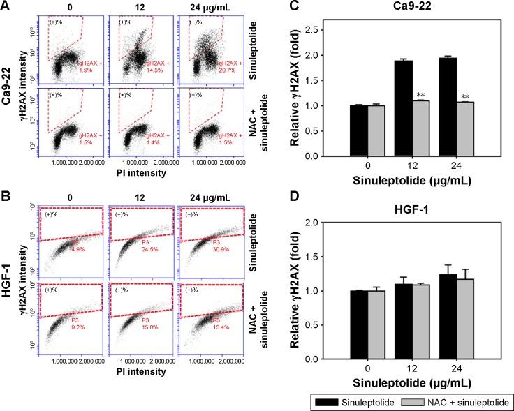 https://cdn.ncbi.nlm.nih.gov/pmc/blobs/5389/5505647/22424b8f489c/ott-10-3289Fig5.jpg