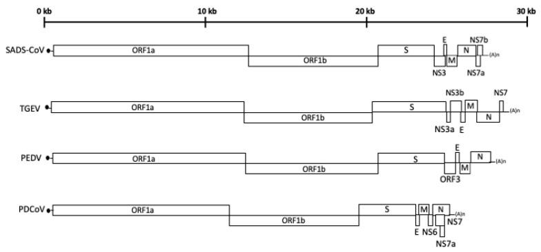 https://cdn.ncbi.nlm.nih.gov/pmc/blobs/538a/10820180/adba1cba3ce2/vaccines-12-00011-g001.jpg