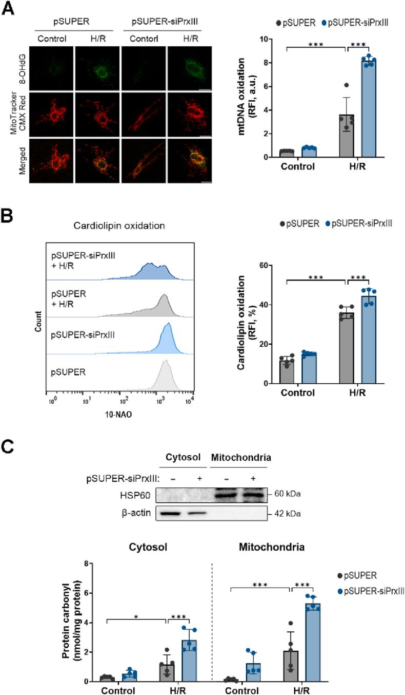 https://cdn.ncbi.nlm.nih.gov/pmc/blobs/538a/12355573/c7fc2f3ccad1/gr2.jpg