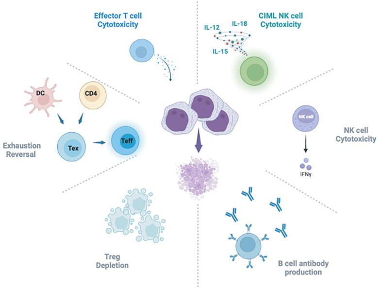 https://cdn.ncbi.nlm.nih.gov/pmc/blobs/538b/10978651/19d44aa18659/fimmu-15-1328858-g001.jpg