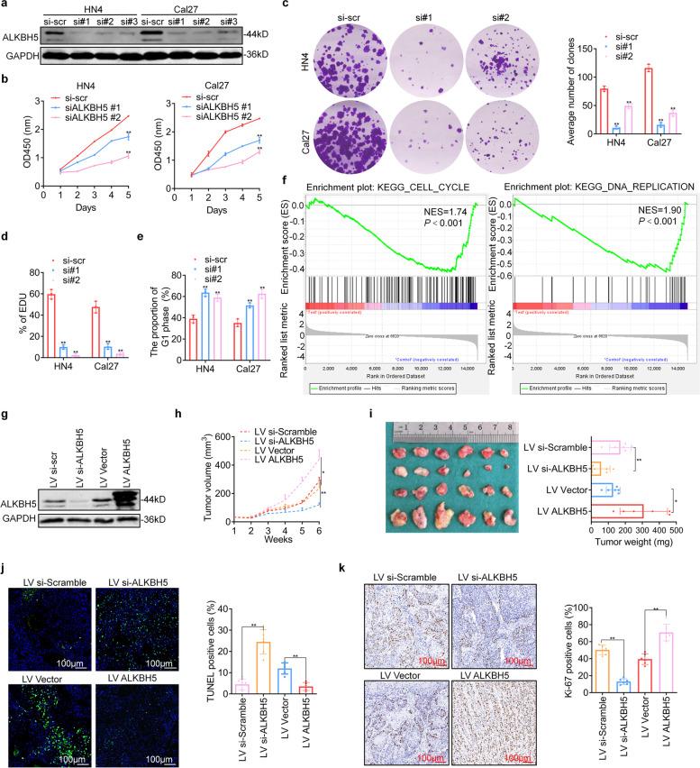 https://cdn.ncbi.nlm.nih.gov/pmc/blobs/538b/8994291/e0a8ad859987/12943_2022_1572_Fig2_HTML.jpg