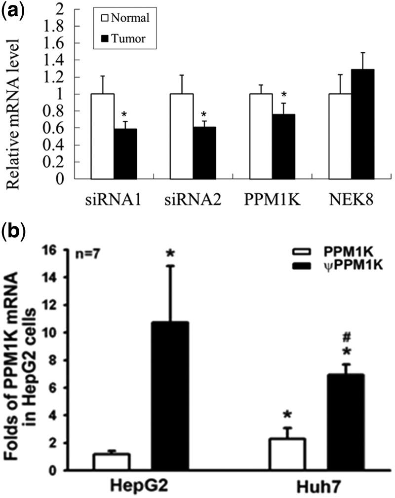 https://cdn.ncbi.nlm.nih.gov/pmc/blobs/538c/3616710/40ad60731a73/gkt047f4p.jpg