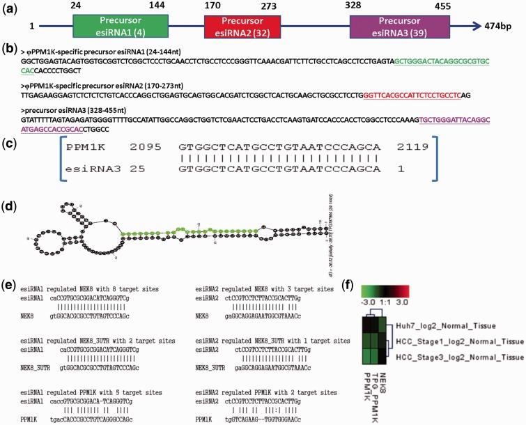 https://cdn.ncbi.nlm.nih.gov/pmc/blobs/538c/3616710/9901ca2d00cd/gkt047f3p.jpg