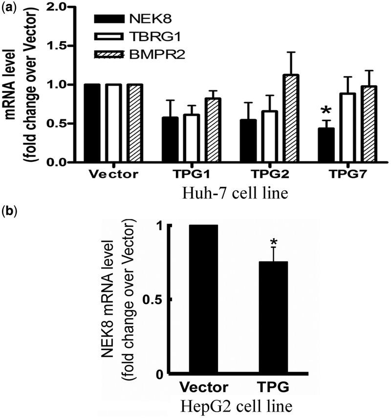 https://cdn.ncbi.nlm.nih.gov/pmc/blobs/538c/3616710/be327488b11a/gkt047f6p.jpg