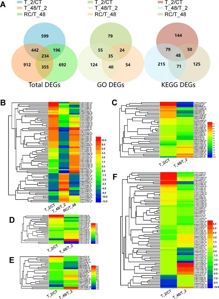 https://cdn.ncbi.nlm.nih.gov/pmc/blobs/538c/5456072/a0d48a77267e/pone.0178604.g006.jpg