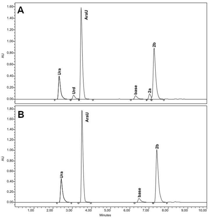 https://cdn.ncbi.nlm.nih.gov/pmc/blobs/538e/10094600/5e762cf1350b/ijms-24-06223-g004.jpg