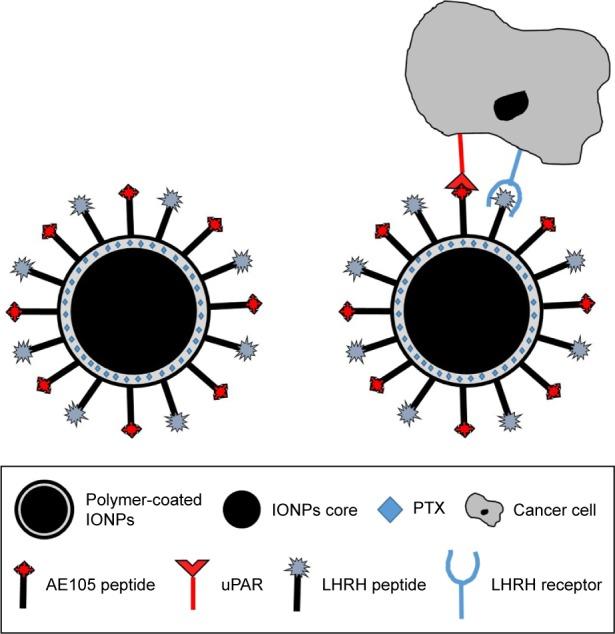 https://cdn.ncbi.nlm.nih.gov/pmc/blobs/538e/5614798/d8daecdfea81/ijn-12-6973Fig1.jpg
