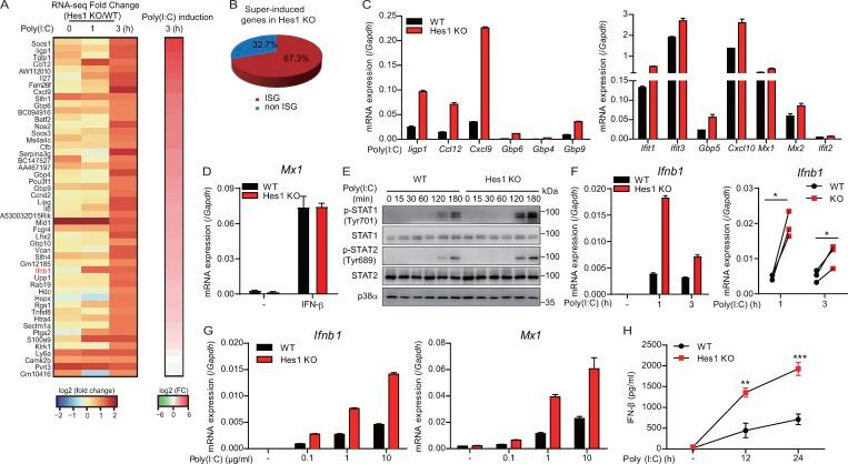 https://cdn.ncbi.nlm.nih.gov/pmc/blobs/538e/6547865/6dc082868bfa/JEM_20180861_Fig1.jpg