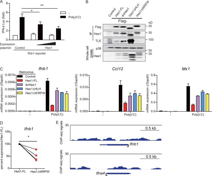 https://cdn.ncbi.nlm.nih.gov/pmc/blobs/538e/6547865/cfb40c559d0f/JEM_20180861_Fig4.jpg