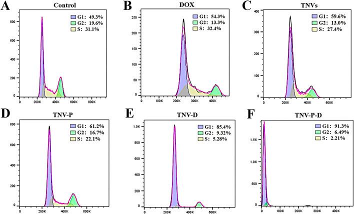 https://cdn.ncbi.nlm.nih.gov/pmc/blobs/538f/12162503/7da63e5d248f/fphar-16-1587560-g007.jpg