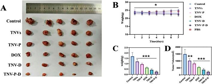 https://cdn.ncbi.nlm.nih.gov/pmc/blobs/538f/12162503/c409eb66ba26/fphar-16-1587560-g008.jpg