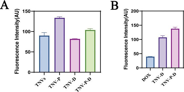 https://cdn.ncbi.nlm.nih.gov/pmc/blobs/538f/12162503/ccee9fe71934/fphar-16-1587560-g006.jpg