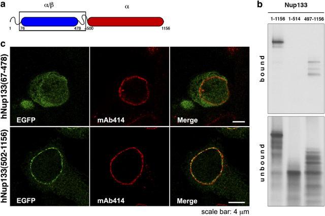 https://cdn.ncbi.nlm.nih.gov/pmc/blobs/5392/2172596/1122ad011056/200408109f1.jpg