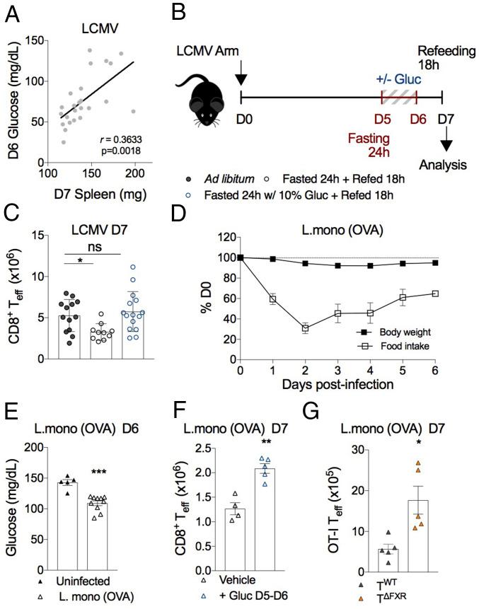 https://cdn.ncbi.nlm.nih.gov/pmc/blobs/5395/7776647/07d288531d59/pnas.2020619117fig05.jpg