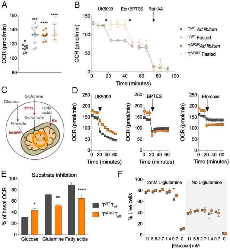 https://cdn.ncbi.nlm.nih.gov/pmc/blobs/5395/7776647/f85679f2d0a5/pnas.2020619117fig04.jpg