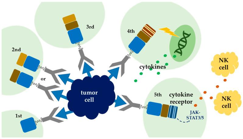 https://cdn.ncbi.nlm.nih.gov/pmc/blobs/5395/7957810/4726c7554f0b/ijms-22-02404-g001.jpg