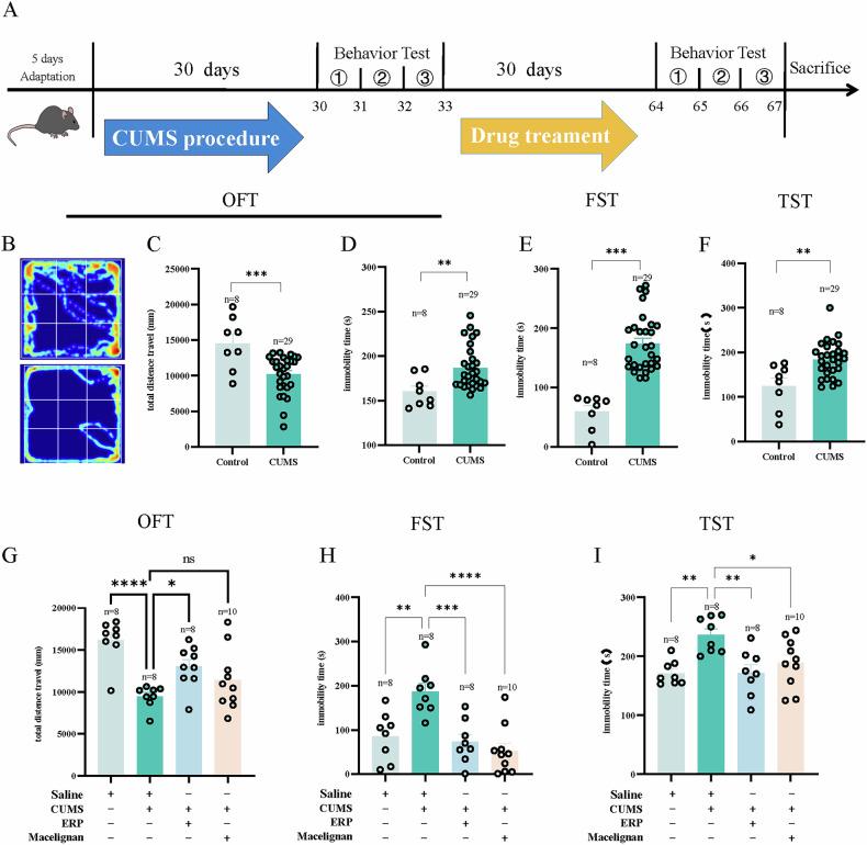 https://cdn.ncbi.nlm.nih.gov/pmc/blobs/5396/12064756/701afc55994b/41398_2025_3378_Fig1_HTML.jpg