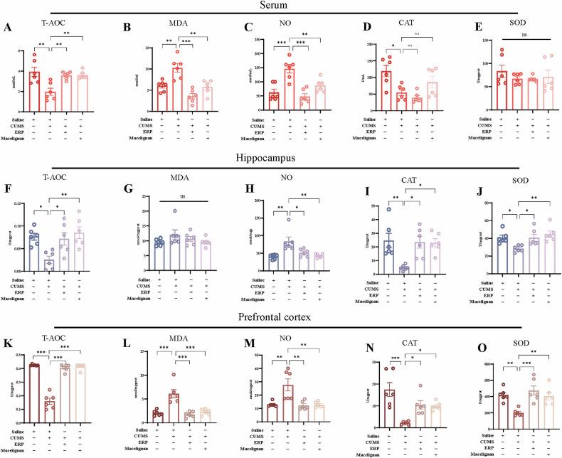 https://cdn.ncbi.nlm.nih.gov/pmc/blobs/5396/12064756/89bc1fabc8ab/41398_2025_3378_Fig2_HTML.jpg
