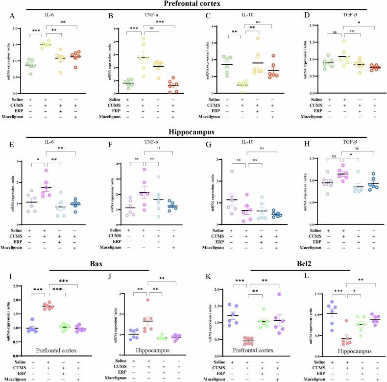 https://cdn.ncbi.nlm.nih.gov/pmc/blobs/5396/12064756/b44601b43360/41398_2025_3378_Fig3_HTML.jpg