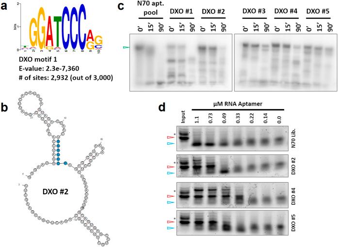 https://cdn.ncbi.nlm.nih.gov/pmc/blobs/5396/4949599/921ab8026f6f/srep29771-f4.jpg