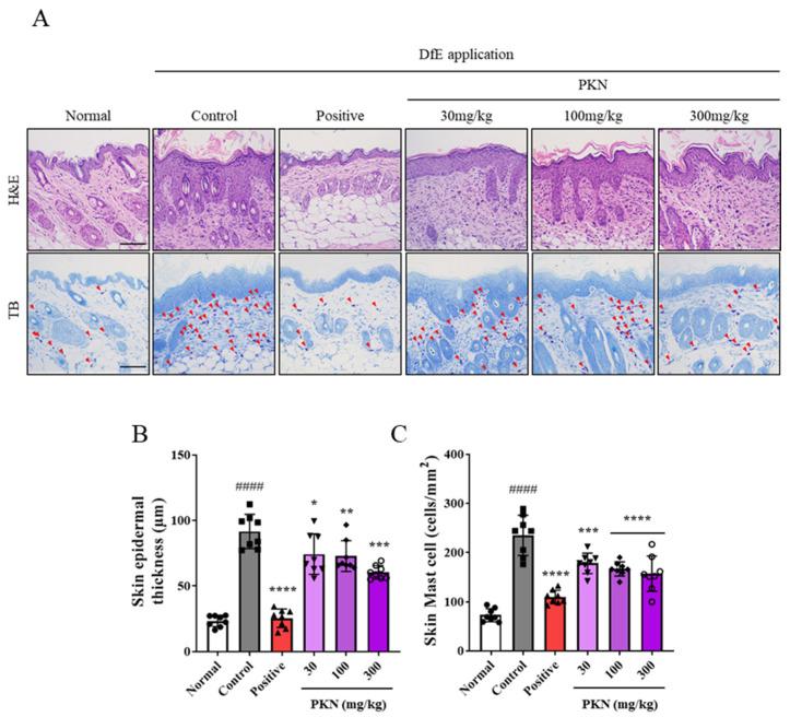 https://cdn.ncbi.nlm.nih.gov/pmc/blobs/5398/11988913/962a21403c59/ijms-26-02994-g002.jpg