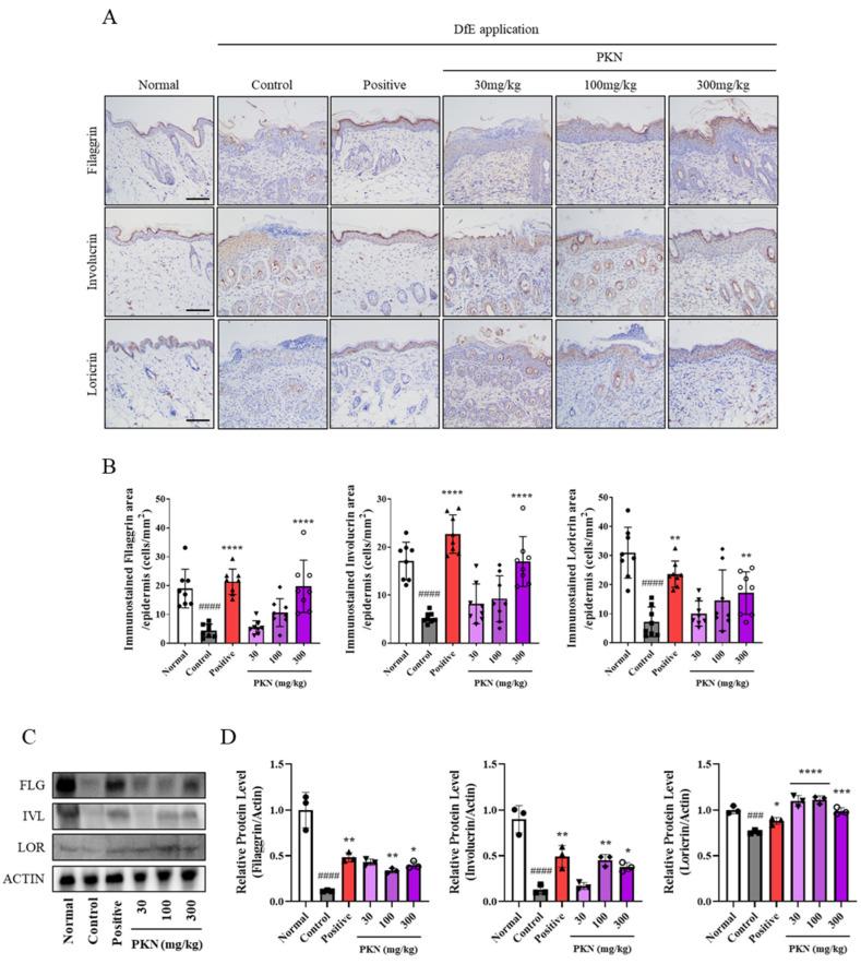 https://cdn.ncbi.nlm.nih.gov/pmc/blobs/5398/11988913/9a5bdaeb7947/ijms-26-02994-g004.jpg