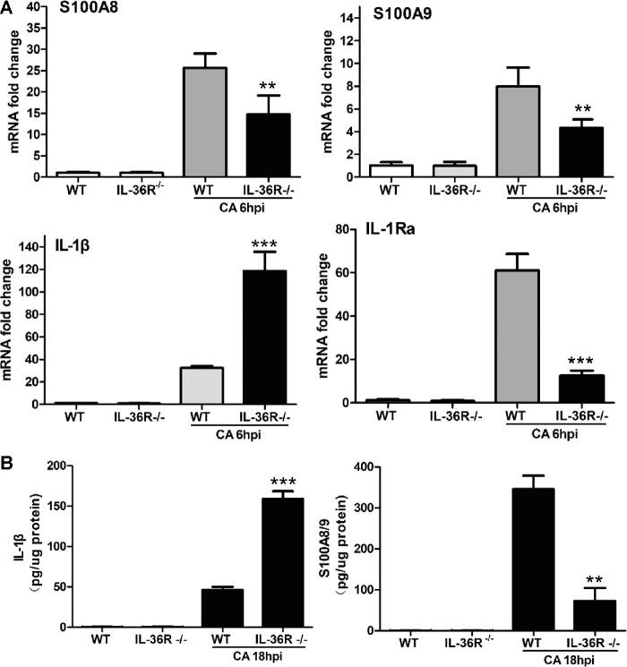 https://cdn.ncbi.nlm.nih.gov/pmc/blobs/5399/8114008/1d4a76171468/iovs-62-6-10-f003.jpg