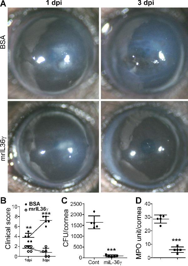 https://cdn.ncbi.nlm.nih.gov/pmc/blobs/5399/8114008/b2cbc200dc63/iovs-62-6-10-f004.jpg