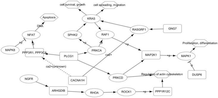 https://cdn.ncbi.nlm.nih.gov/pmc/blobs/539c/7801384/0bc70a34a11b/41598_2020_79889_Fig5_HTML.jpg