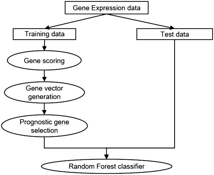 https://cdn.ncbi.nlm.nih.gov/pmc/blobs/539c/7801384/8a04a0e33fa8/41598_2020_79889_Fig1_HTML.jpg