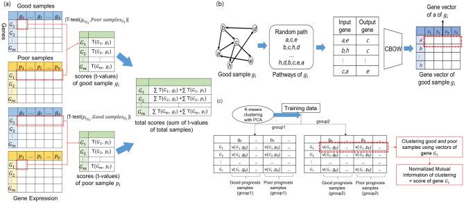https://cdn.ncbi.nlm.nih.gov/pmc/blobs/539c/7801384/8f8546d27b68/41598_2020_79889_Fig7_HTML.jpg