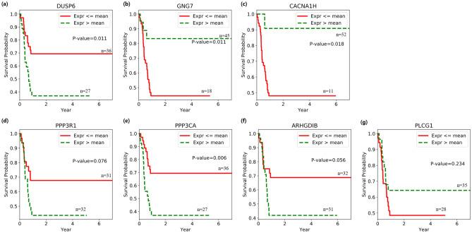 https://cdn.ncbi.nlm.nih.gov/pmc/blobs/539c/7801384/d49e1d18fb30/41598_2020_79889_Fig6_HTML.jpg