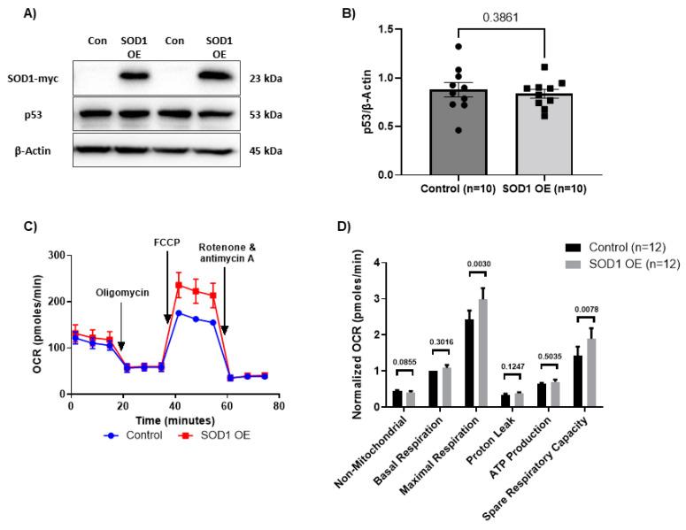 https://cdn.ncbi.nlm.nih.gov/pmc/blobs/539d/10224005/d31c87c7cbb1/viruses-15-01061-g003.jpg