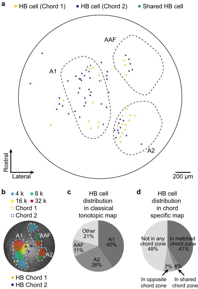 https://cdn.ncbi.nlm.nih.gov/pmc/blobs/539e/10703882/7e20982026c4/41467_2023_43620_Fig4_HTML.jpg
