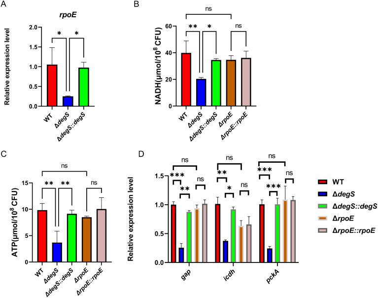https://cdn.ncbi.nlm.nih.gov/pmc/blobs/539f/11564185/52afc2d11748/fcimb-14-1482919-g003.jpg