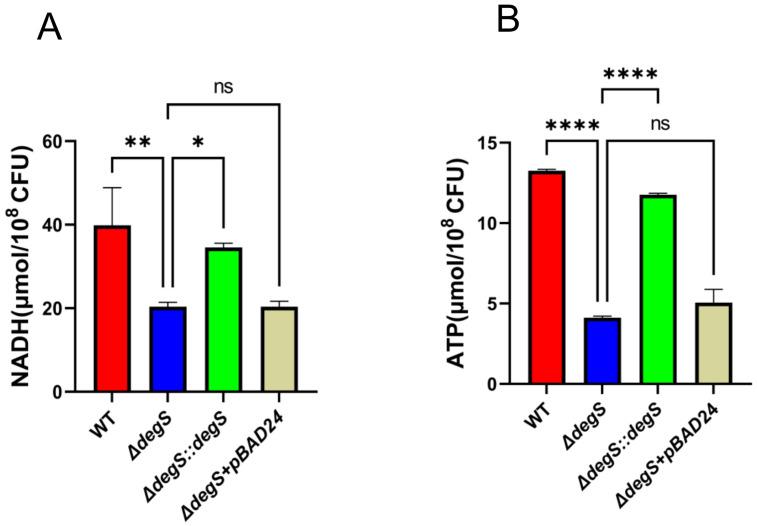 https://cdn.ncbi.nlm.nih.gov/pmc/blobs/539f/11564185/9b1e6e69cdcb/fcimb-14-1482919-g002.jpg