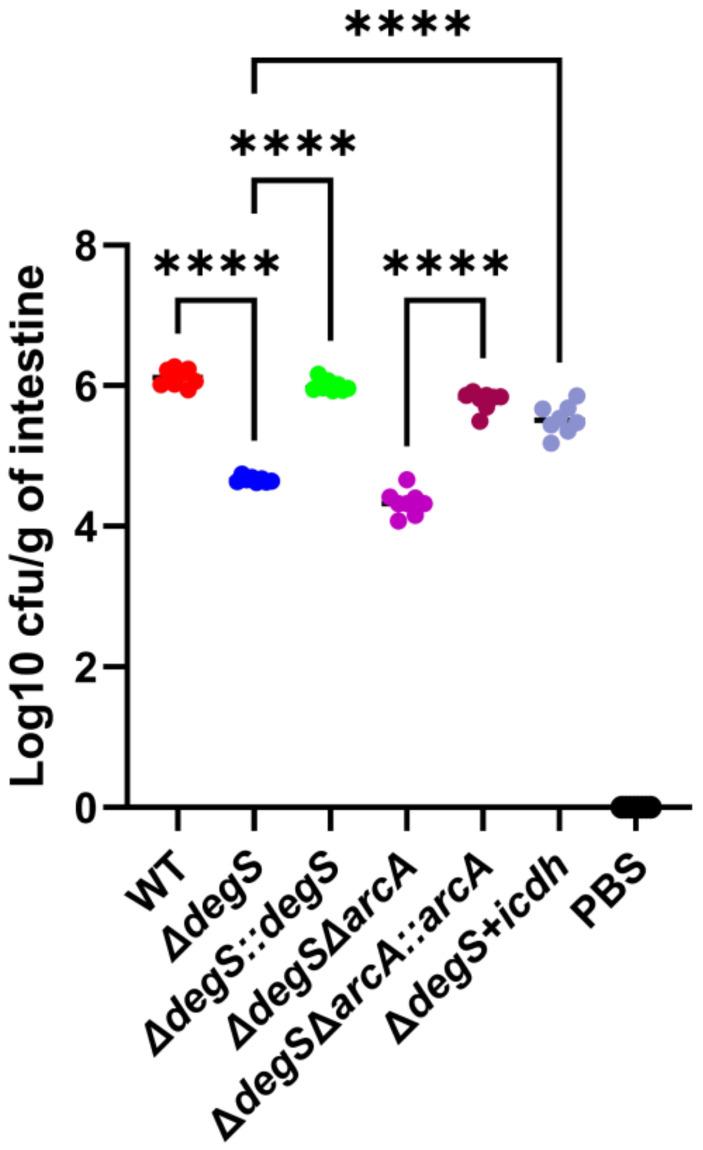 https://cdn.ncbi.nlm.nih.gov/pmc/blobs/539f/11564185/c842921eb7e1/fcimb-14-1482919-g007.jpg