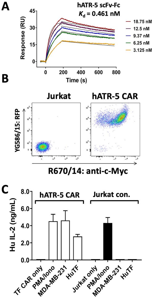https://cdn.ncbi.nlm.nih.gov/pmc/blobs/53a4/11303627/acf1b5e60e49/262_2024_3778_Fig3_HTML.jpg