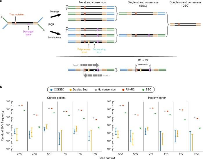 https://cdn.ncbi.nlm.nih.gov/pmc/blobs/53a6/10181940/e95ec4758d42/41588_2023_1376_Fig8_ESM.jpg