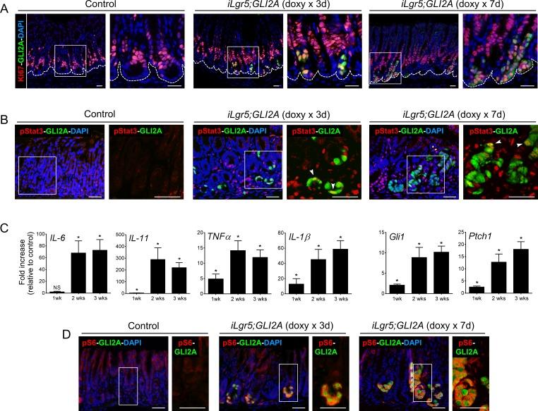 https://cdn.ncbi.nlm.nih.gov/pmc/blobs/53a6/4891118/e2eaba6ccaf4/oncotarget-07-10255-g005.jpg