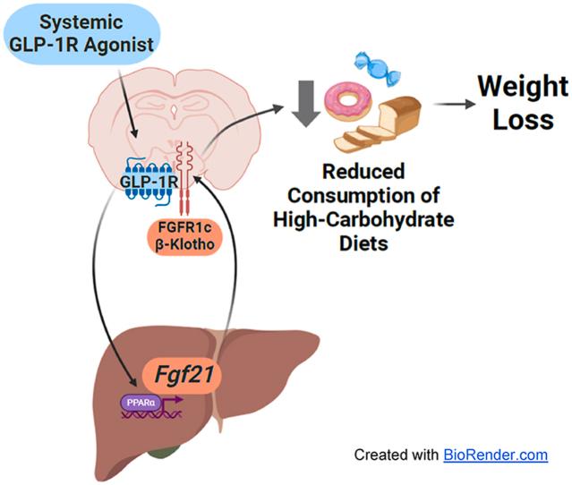 https://cdn.ncbi.nlm.nih.gov/pmc/blobs/53a9/10131131/7bdebf341a8e/ga1.jpg