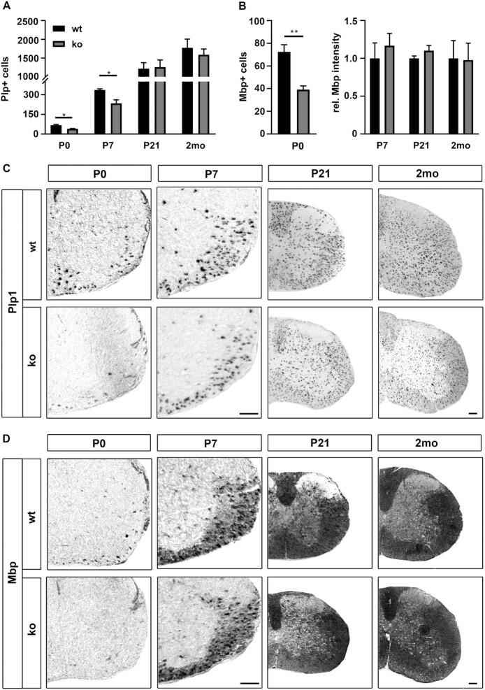 https://cdn.ncbi.nlm.nih.gov/pmc/blobs/53a9/9723594/0843d9529351/gkac953fig8.jpg