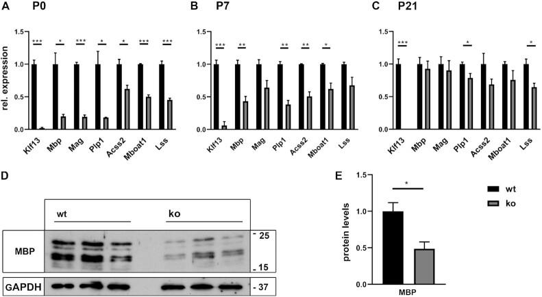 https://cdn.ncbi.nlm.nih.gov/pmc/blobs/53a9/9723594/0dbb7527b7d5/gkac953fig9.jpg