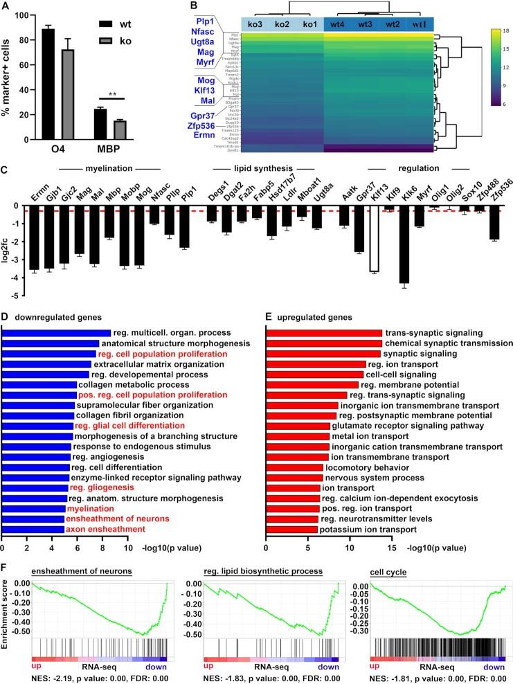 https://cdn.ncbi.nlm.nih.gov/pmc/blobs/53a9/9723594/5ef0cbe0f622/gkac953fig10.jpg