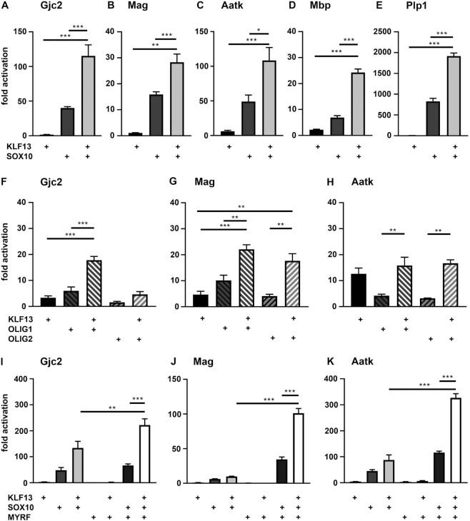 https://cdn.ncbi.nlm.nih.gov/pmc/blobs/53a9/9723594/75eeb6b8cdc0/gkac953fig5.jpg