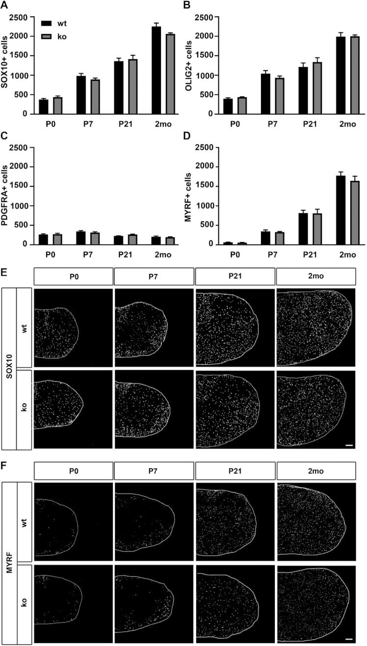 https://cdn.ncbi.nlm.nih.gov/pmc/blobs/53a9/9723594/c777786bb1e2/gkac953fig7.jpg