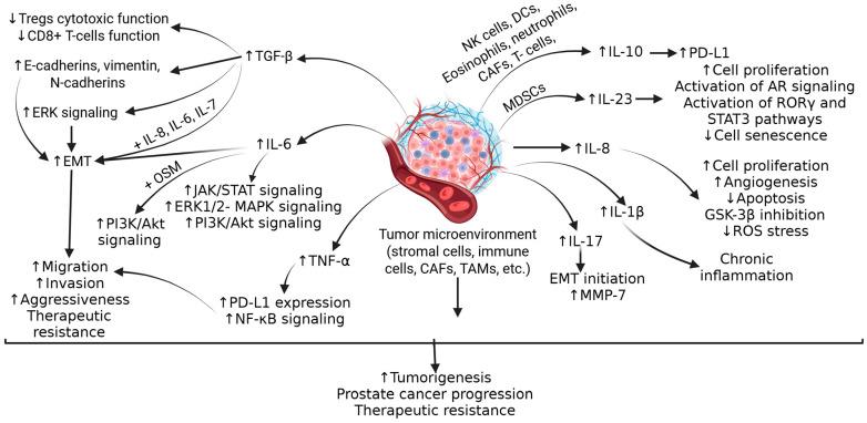 https://cdn.ncbi.nlm.nih.gov/pmc/blobs/53aa/12190701/26bd28a9363b/biomolecules-15-00751-g001.jpg